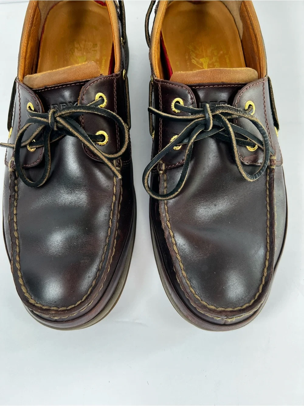 Sperry elevate your